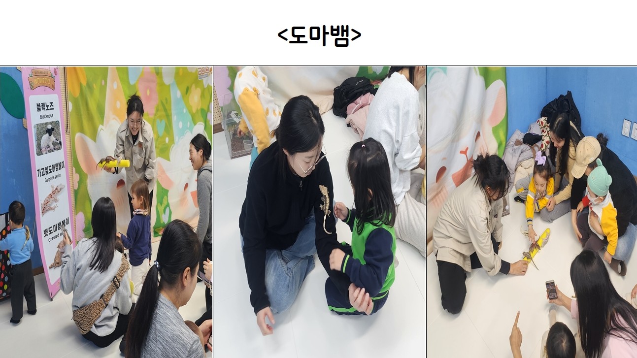 우리 함께 플레이 <동물>프로그램 진행