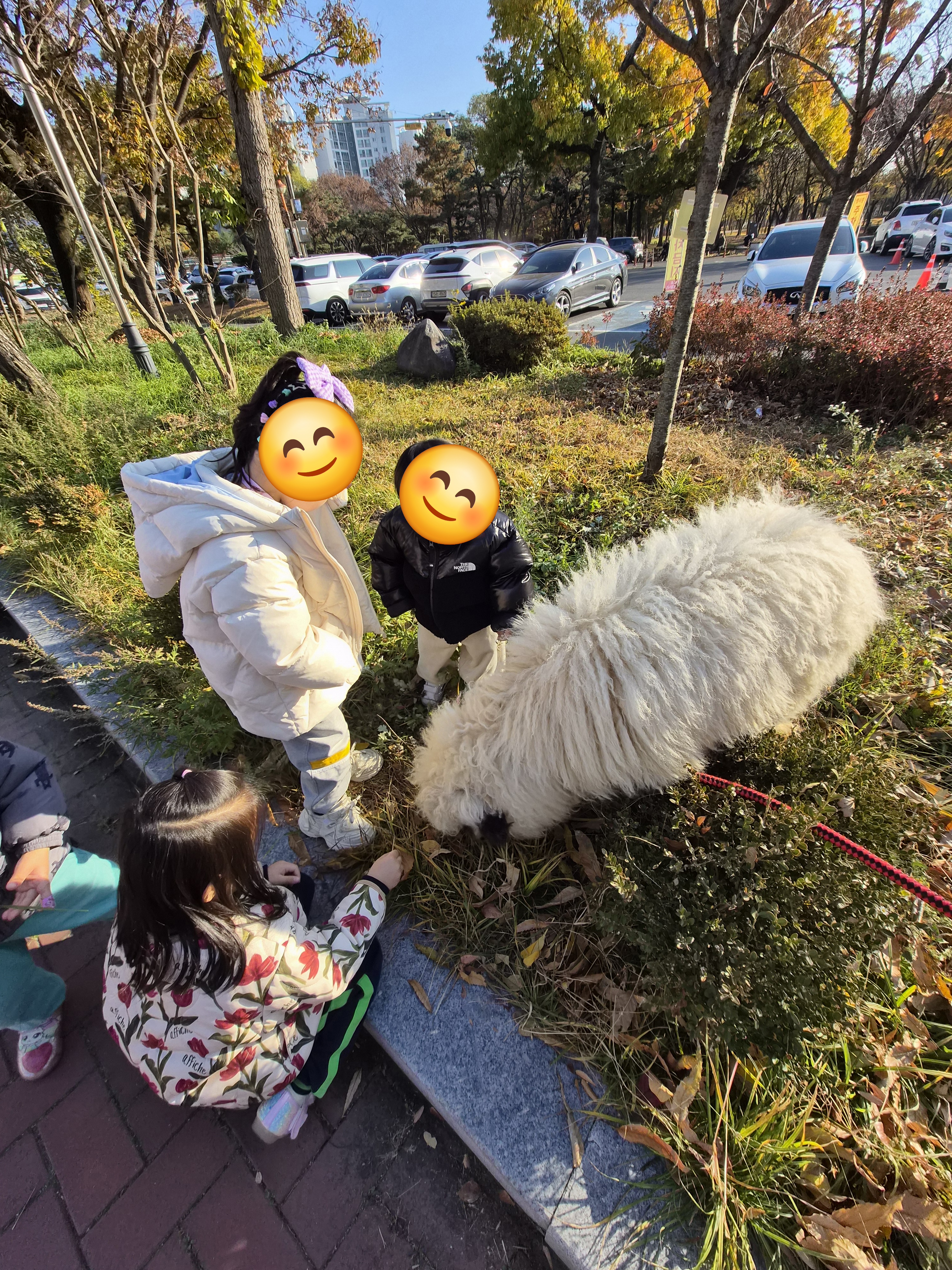 11/19일 동물체험