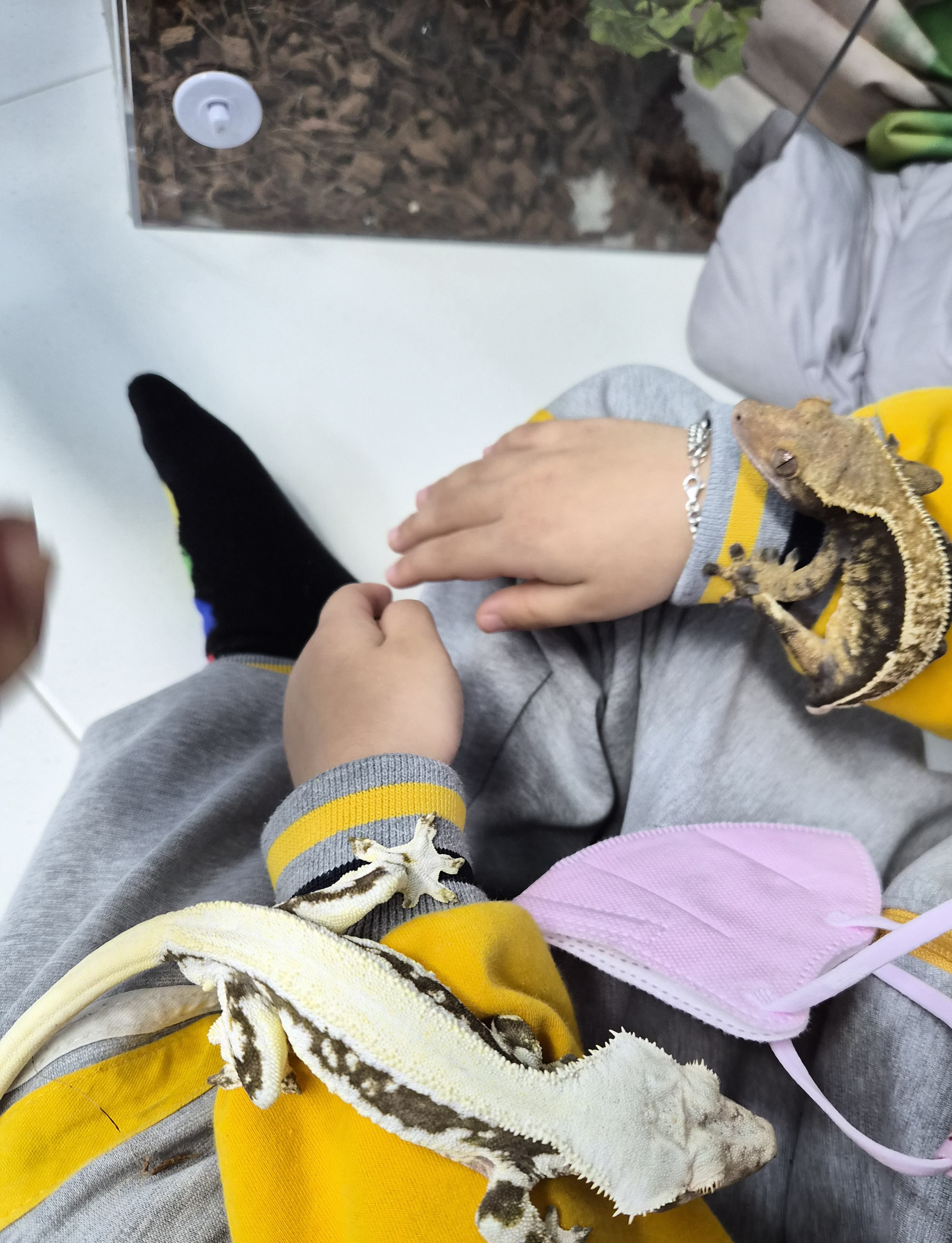 11/19일 동물체험