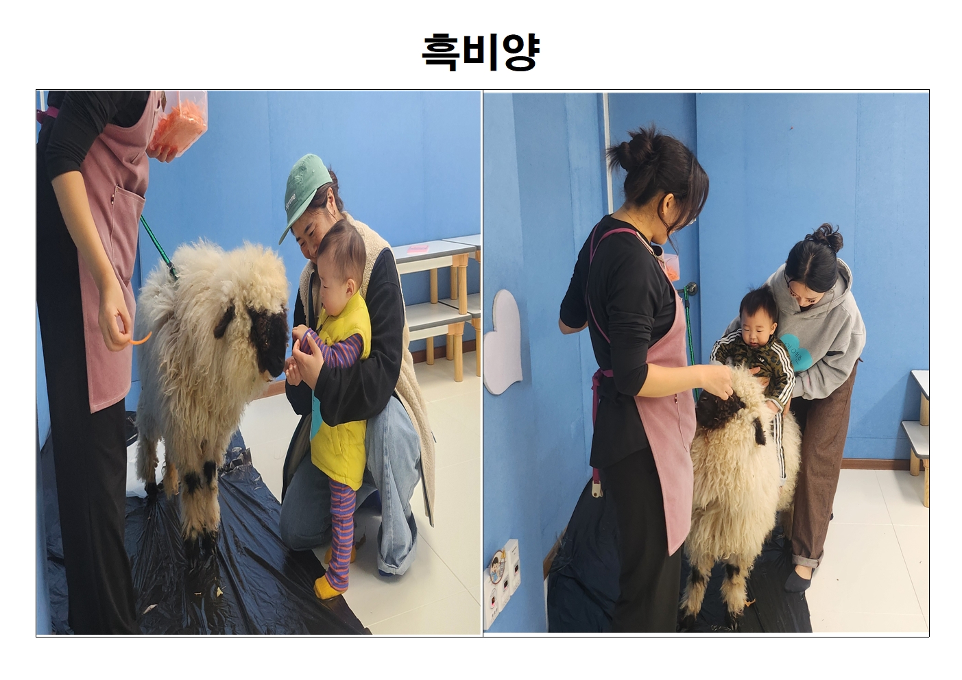 우리 함께 플레이 <동물>프로그램 진행