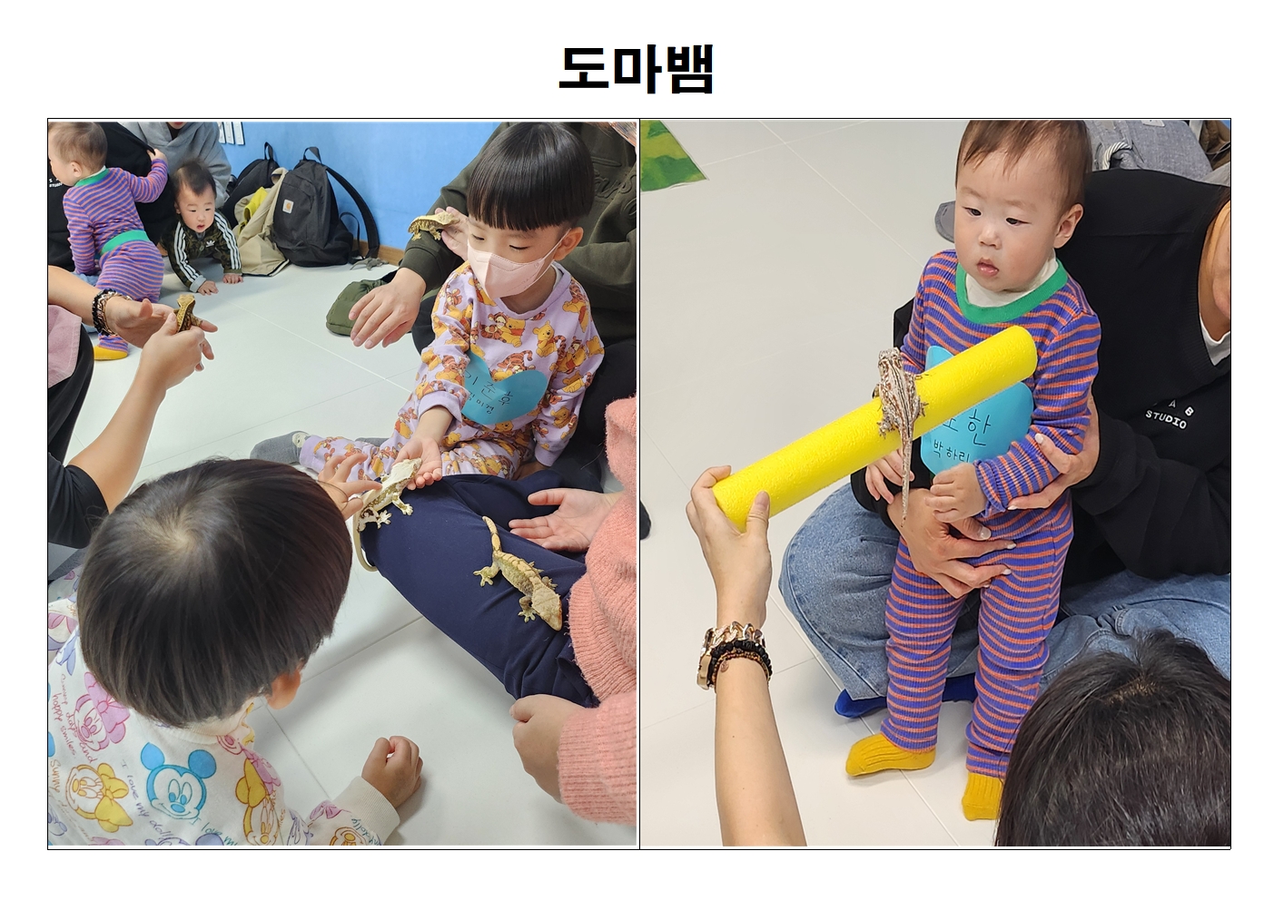 우리 함께 플레이 <동물>프로그램 진행