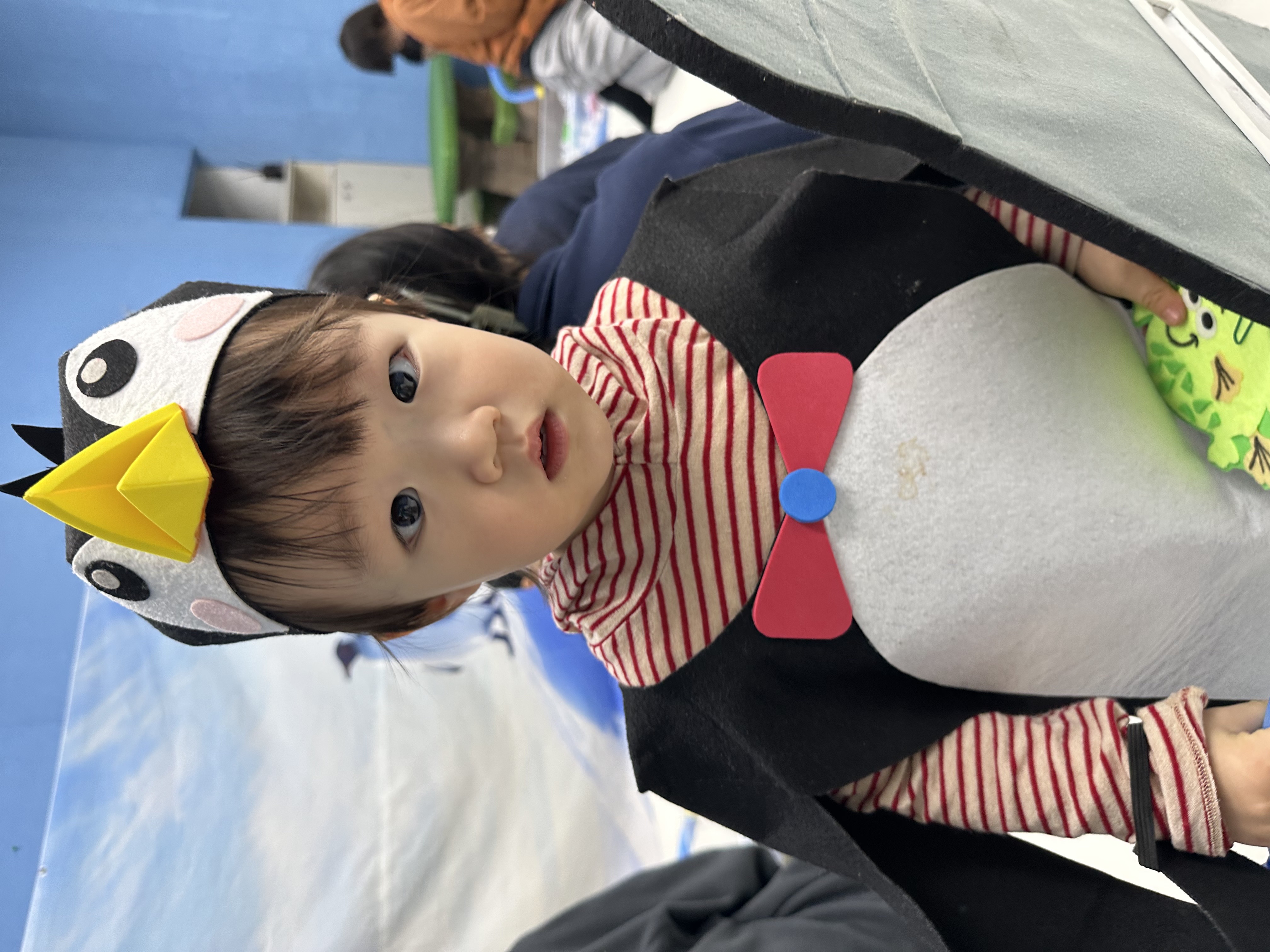 우리 함께 플레이 - 펭귄과 함께 후기