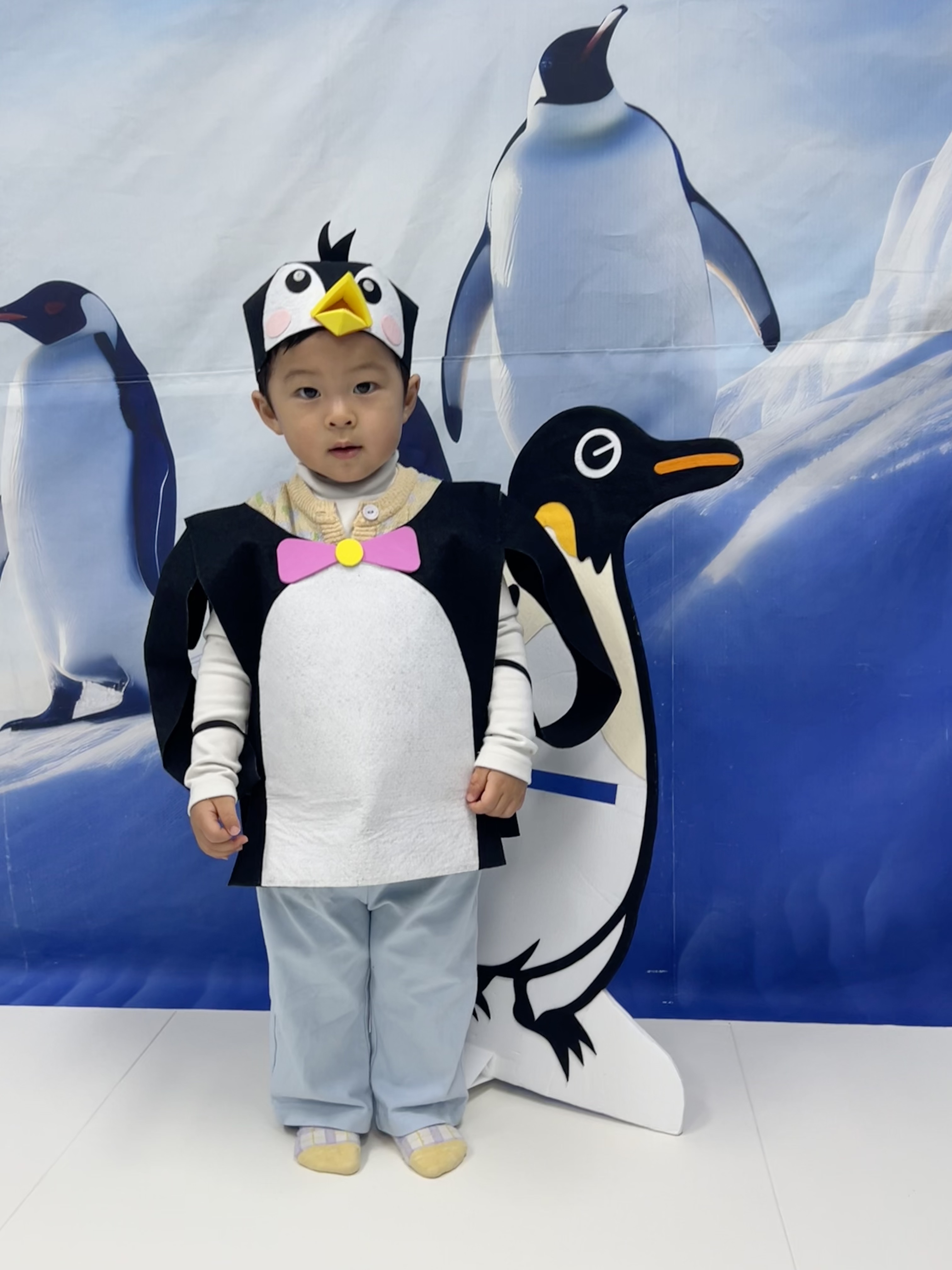 우리함께플레이_팽귄과함께 후기