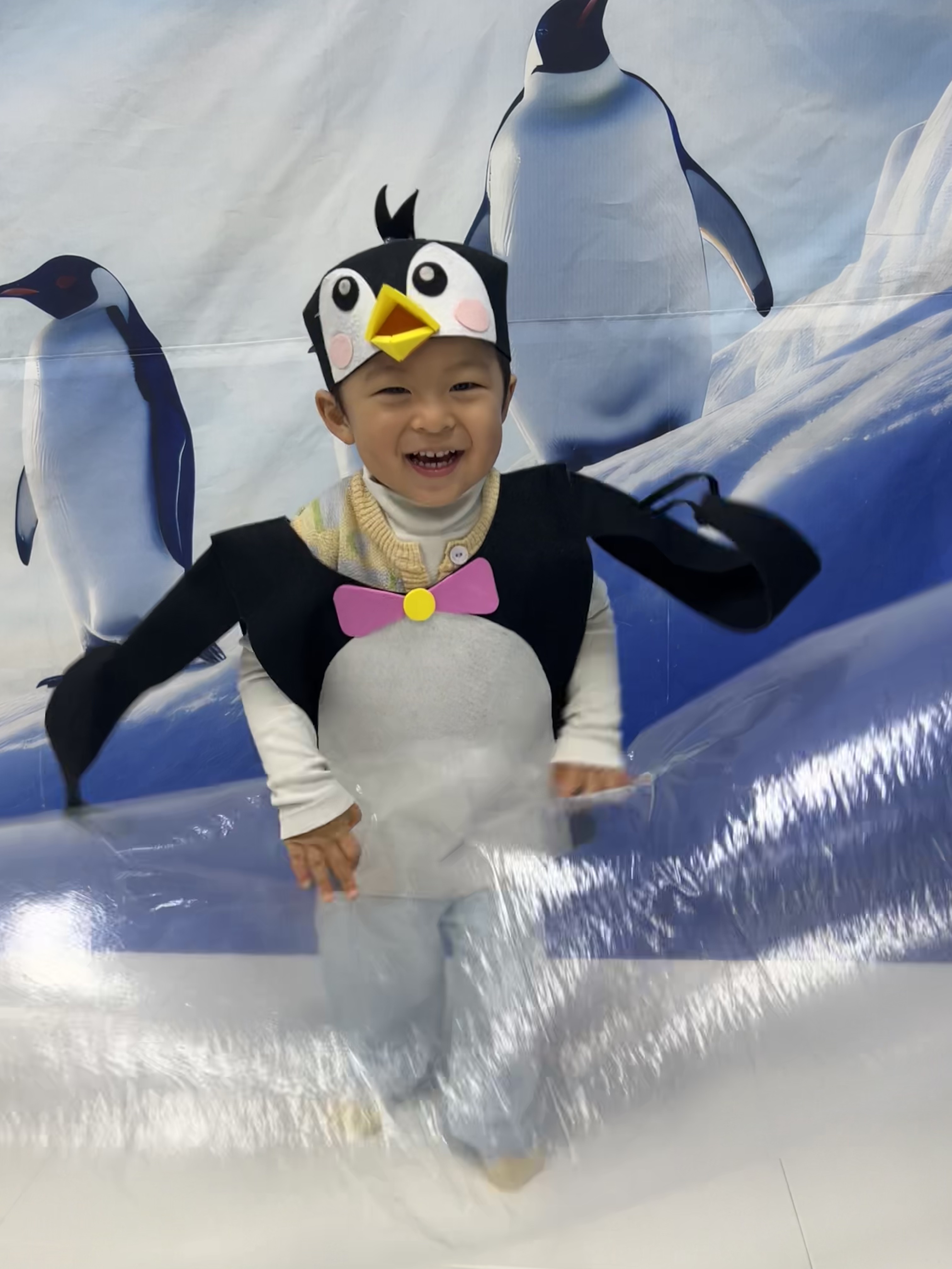 우리함께플레이_팽귄과함께 후기