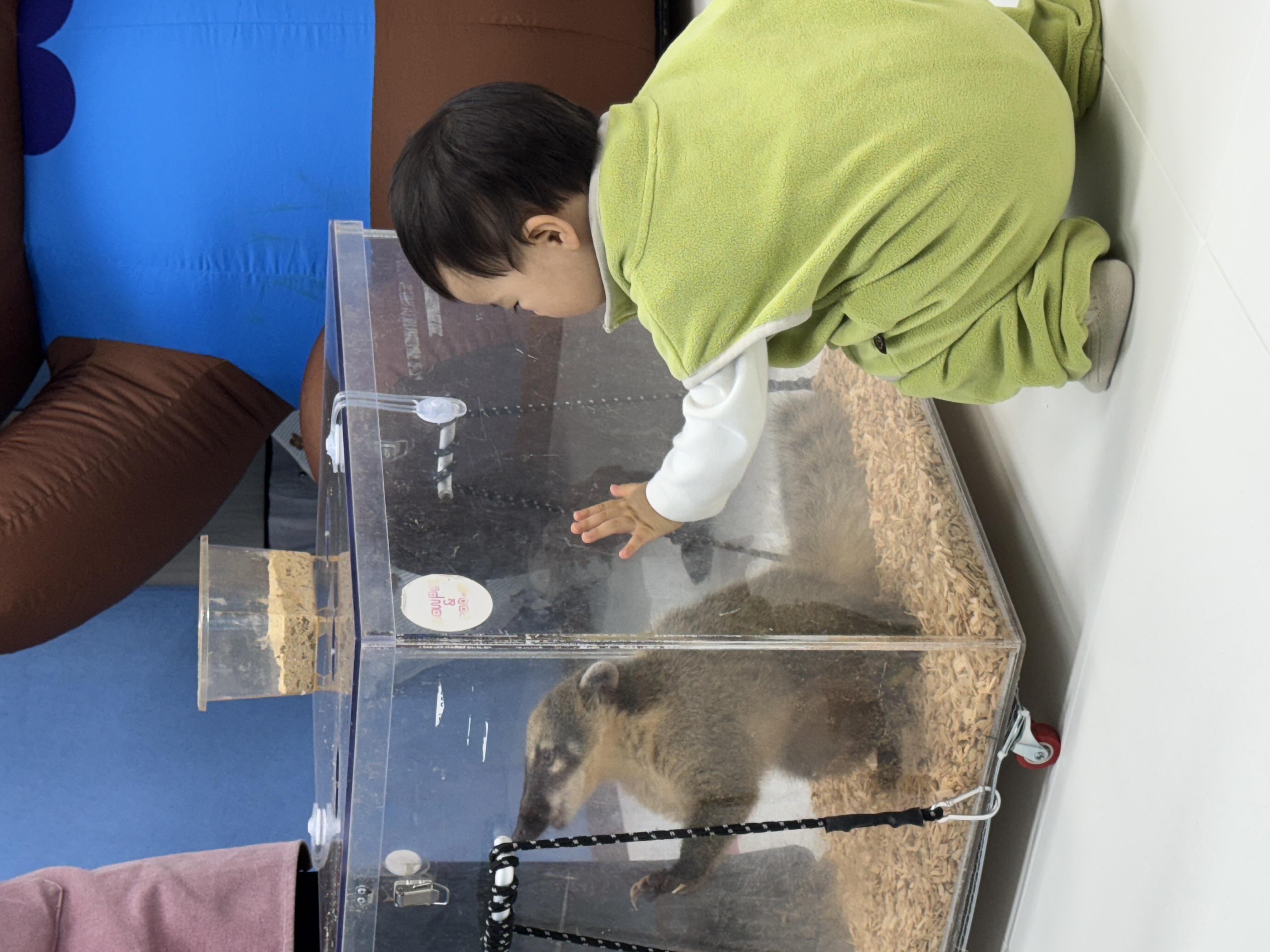 <우리 함께 플레이> 동물체험 후기