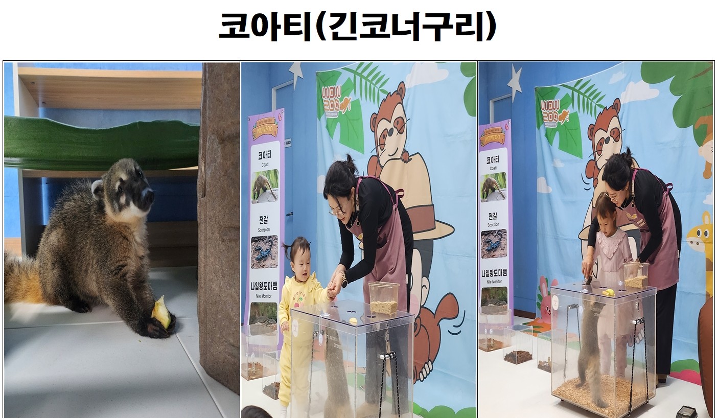 우리 함께 플레이 <동물>프로그램 진행