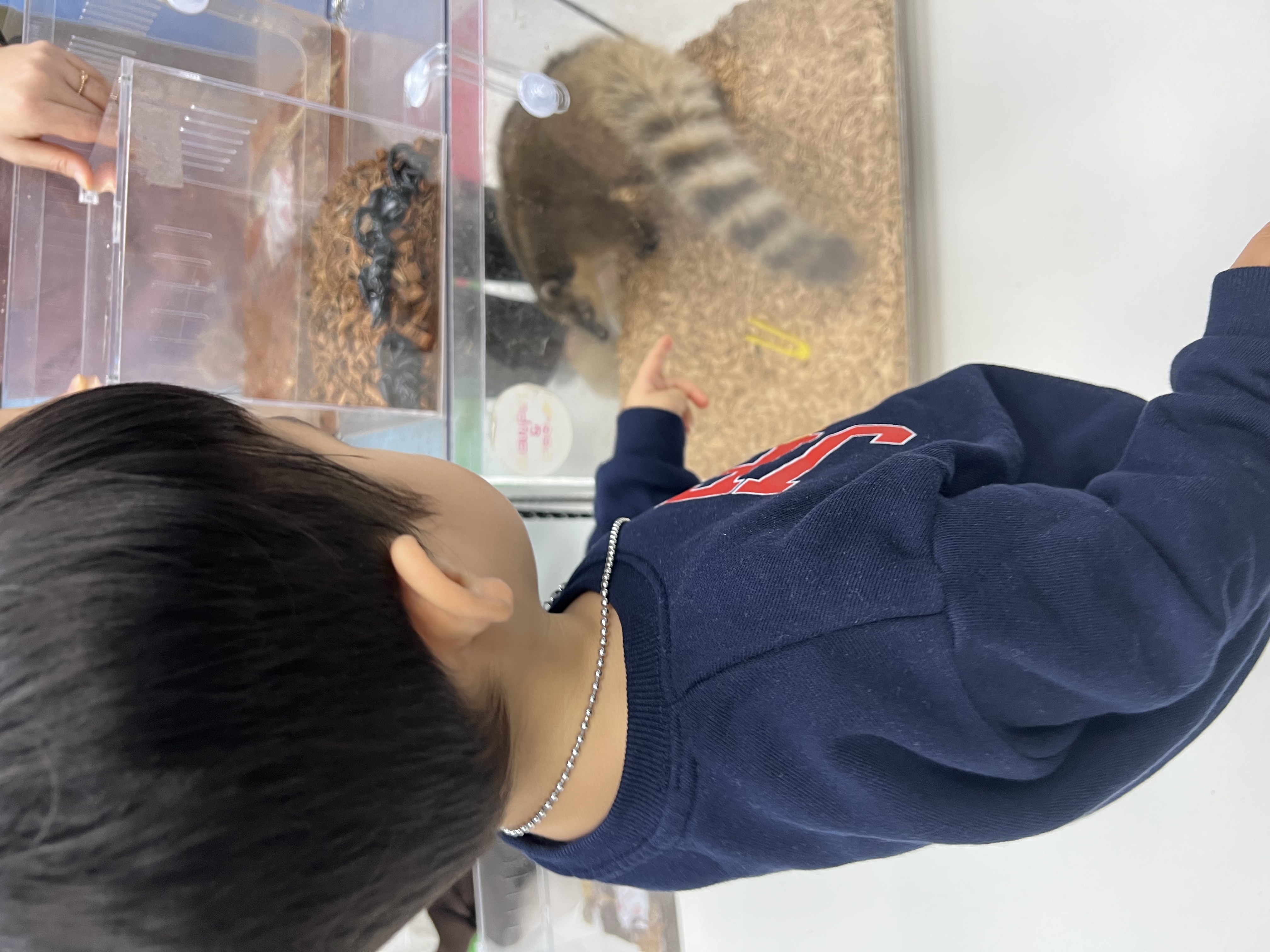 <우리함께플레이>동물체험 수업후기